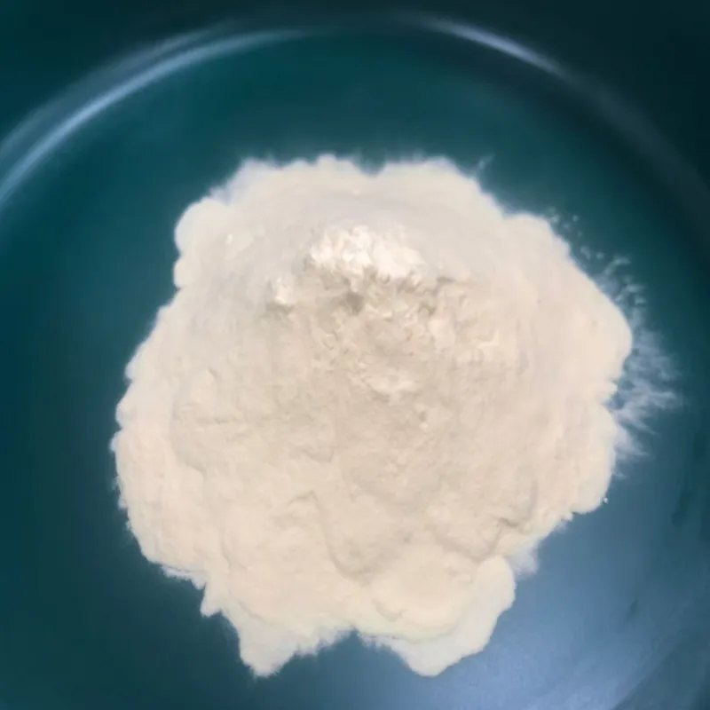 In che modo le proteine ​​vegetali idrolizzate in polvere supportano l'innovazione alimentare moderna?
