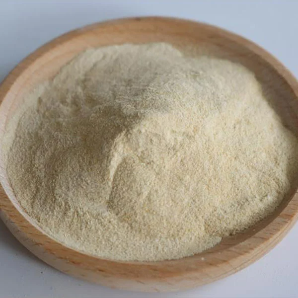 Gomma xantana per uso alimentare 200 mesh